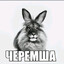 Черемша черешман