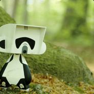 acz - steam id 76561197960987639