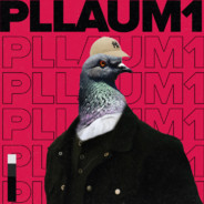 Pllaumi