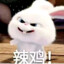 长崎素世