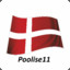 Poolise11