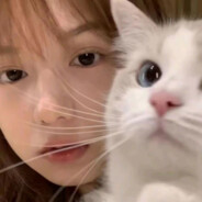 今晚的晚饭取消