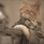 Bombaclat Cat