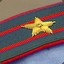 sergeevfsin