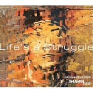 故事你真的在听吗