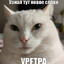 Гидроцефал