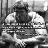 ARNOLD SCHWARZENEGGER - steam id 76561197971060558