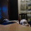 WheelChairGaming