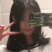 高级特工穿山甲