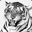 ✪Tiger-T