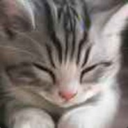 亦真亦幻冷妖娆