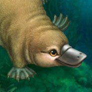 Platypus