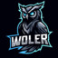 ✪ Woler