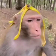 кизда банан