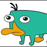 перри утконос