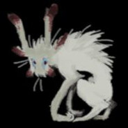 jake's avatar