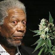 А меня не прёт