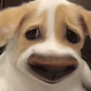 我没医保先撤了