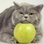 dmitrievich_35