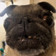 mops_king - steam id 76561198994754854