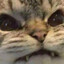clawjob catgirl