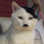 Adolf Kitler