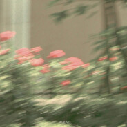 21岁纯情俏寡妇