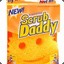 The Scrub Daddy