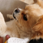 脚踏两只船丶划的更快