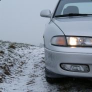 Carpocalypse