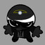 FallenValor737