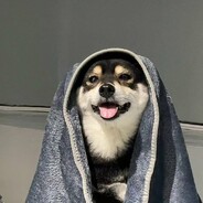 你以为我真的很C的