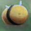 Bumblestar