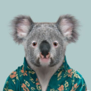 koala.insanous