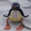 penguino