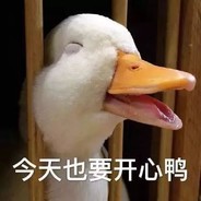 duck duck