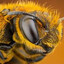 angry bee