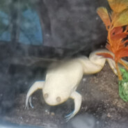 下次换你先开口