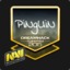 PiNgUiN