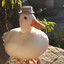 󠀡Duck.