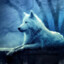 Krenki#