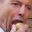 The Real Tony Abbott