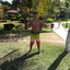 gordão