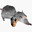 The Rats