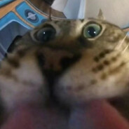 你有点紧张小姐