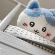 帅气逼人胡英俊