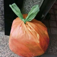 いご