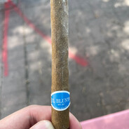 Mboi tu’i