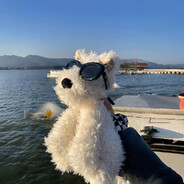 我要偷你正面了