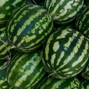 (gm) арбузы
